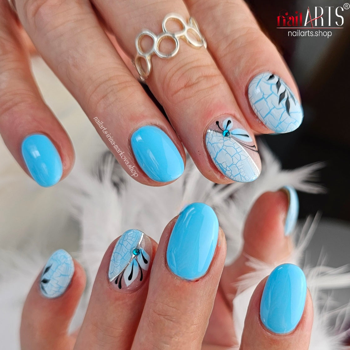 MASTERS (MAS), Shark