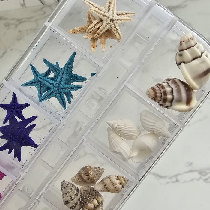 Ocean Mix Box 1 (Starfish)