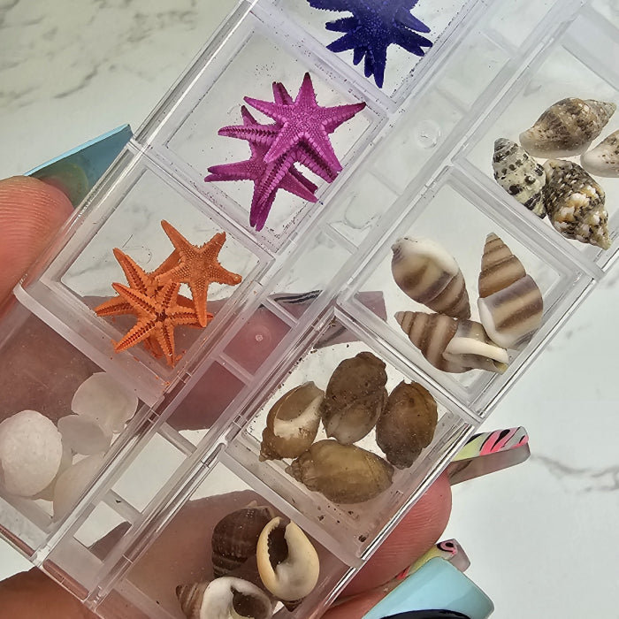 Ocean Mix Box 1 (Starfish)