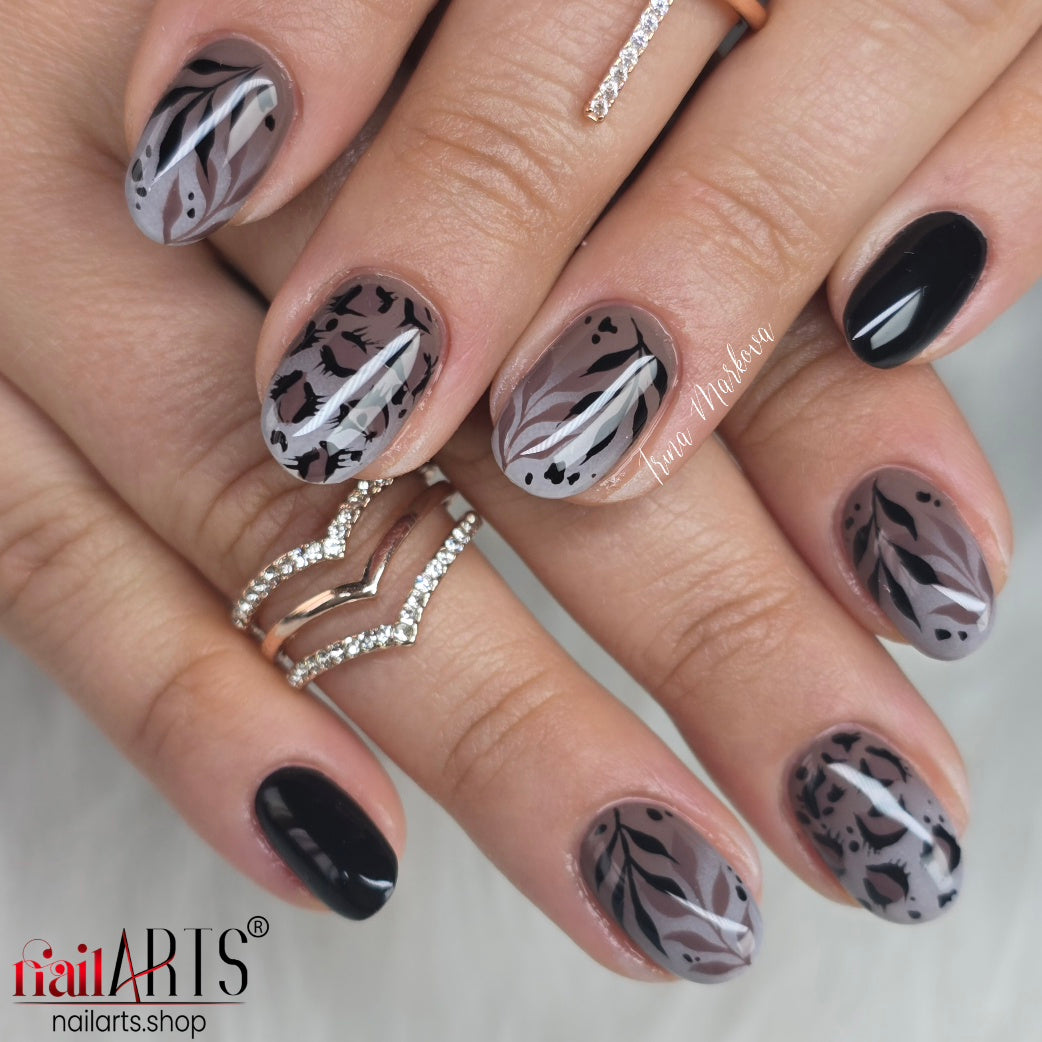 MASTERS (MAS), Choco