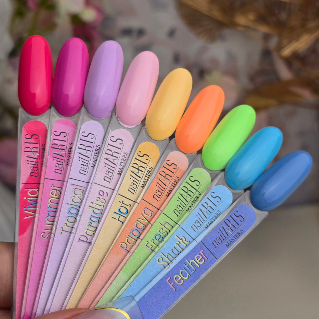 Color Vibes Collection, MASTERS, REVOLUTION Box