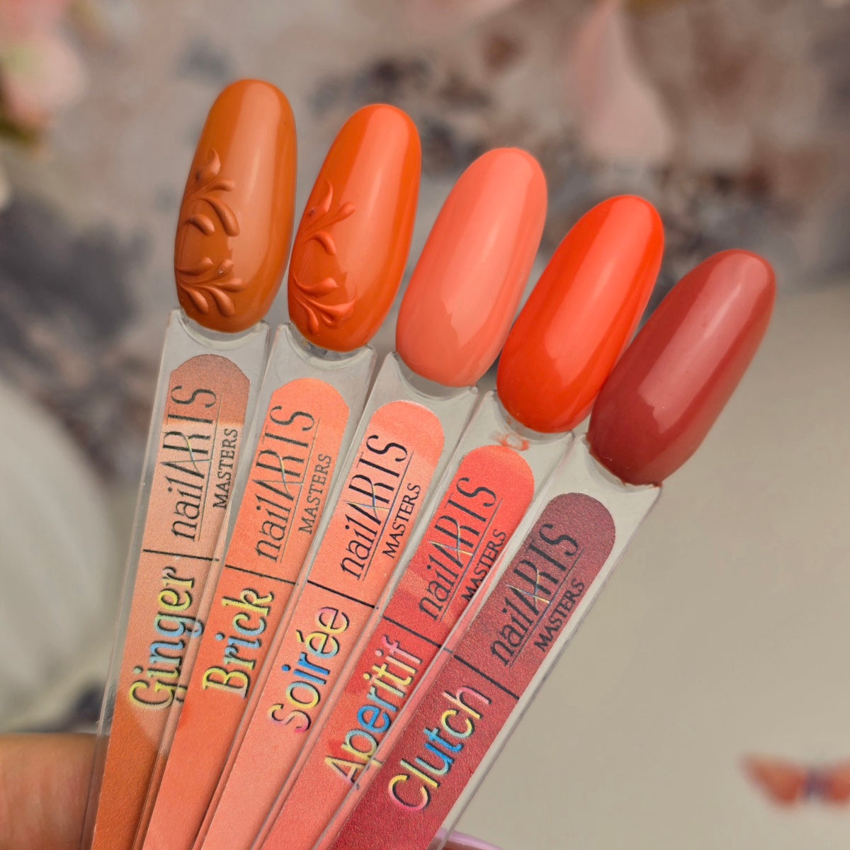 MASTERS (MAS), Soirée